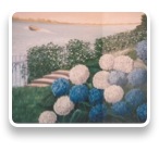 collage image title